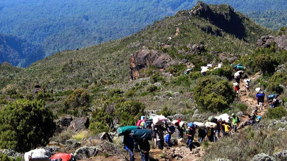 Kilimanjaro Climbing Marangu Route 7 Days - Zara Tours - Tanzania - Image 4