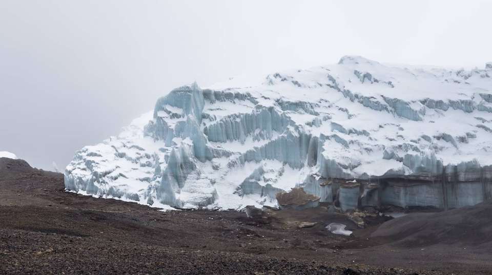 Kilimanjaro Climbing Marangu Route 7 Days - Zara Tours - Tanzania - Image 6