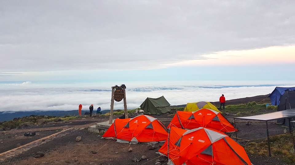 Kilimanjaro Climbing via Lemosho Route 8 Day - Himalayan Glacier Adventure And Travel Company - Tanzania - Image 2