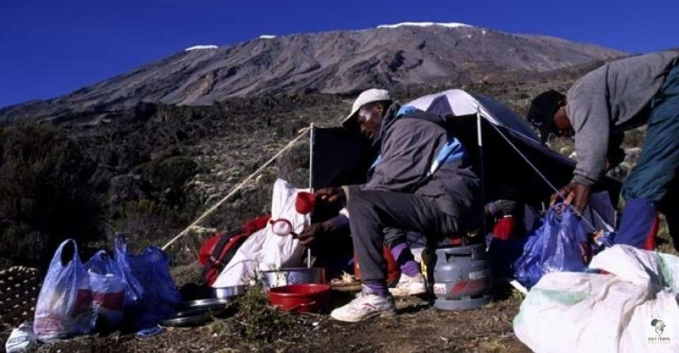 Kilimanjaro - lemosho route - Novi Travel & Tours - Tanzania - Image 1