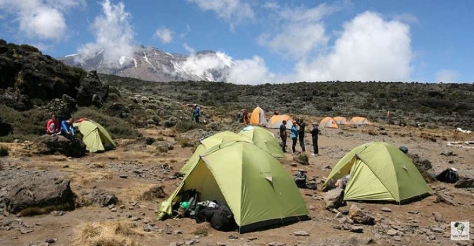 Kilimanjaro - lemosho route - Novi Travel & Tours - Tanzania - Image 2
