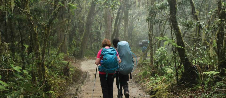 Kilimanjaro - Lemosho Route - World Expeditions - Tanzania - Image 2