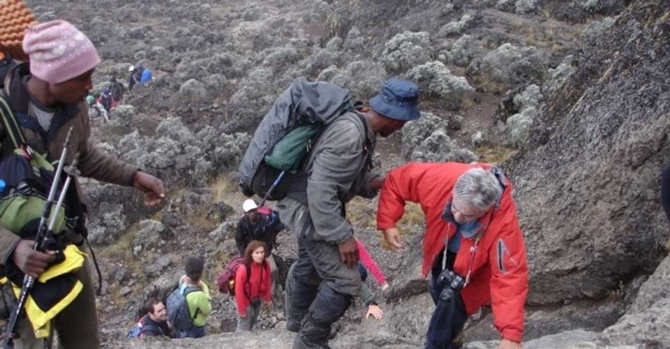 Kilimanjaro - Lemosho route, 8 days - Maasai Wanderings - Tanzania - Image 4