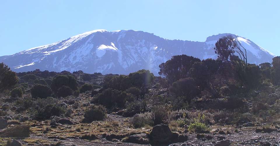 Kilimanjaro - Lemosho route, 8 days - Maasai Wanderings - Tanzania - Image 5