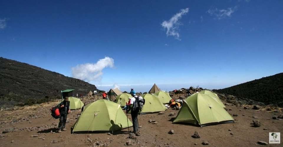 Kilimanjaro - machame route - Novi Travel & Tours - Tanzania - Image 4