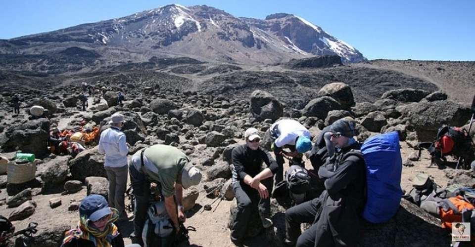 Kilimanjaro - machame route - Novi Travel & Tours - Tanzania - Image 5