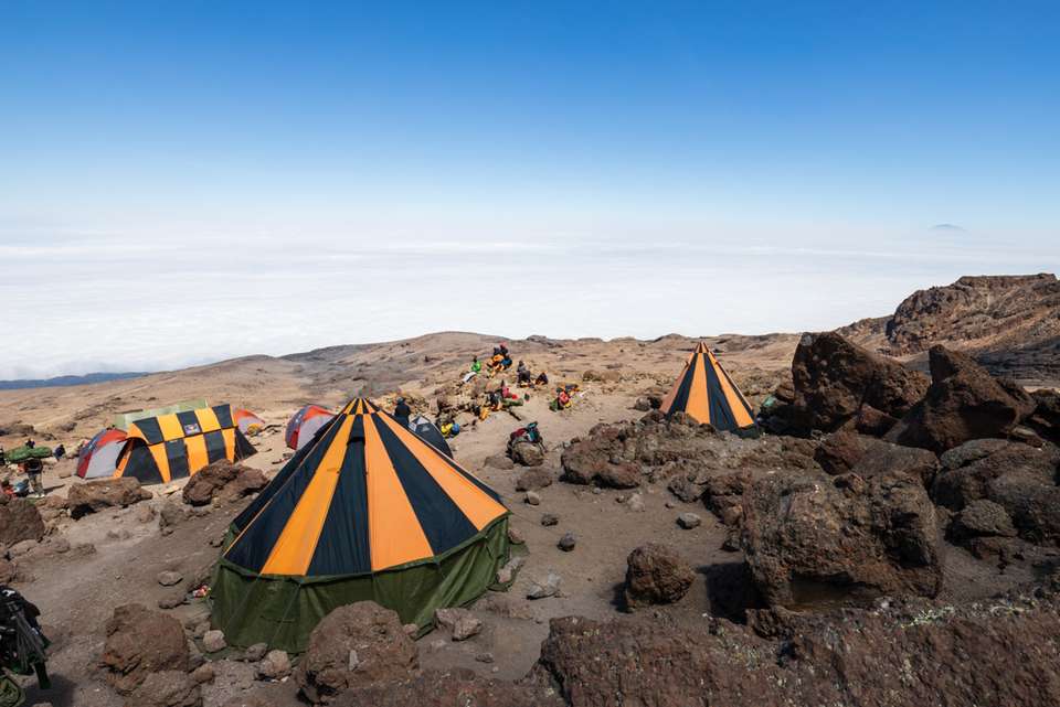 Kilimanjaro: Machame Route - Intrepid Travel - Tanzania - Image 3