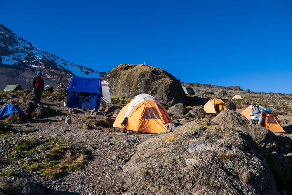 Kilimanjaro: Machame Route - Intrepid Travel - Tanzania - Image 7