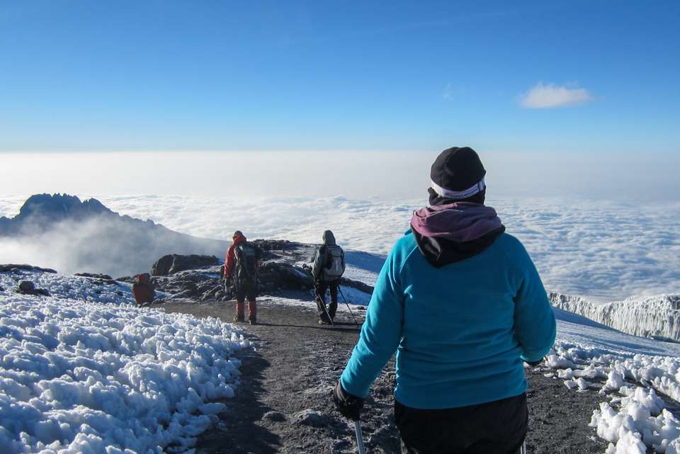 Kilimanjaro: Machame Route - Intrepid Travel - Tanzania - Image 8