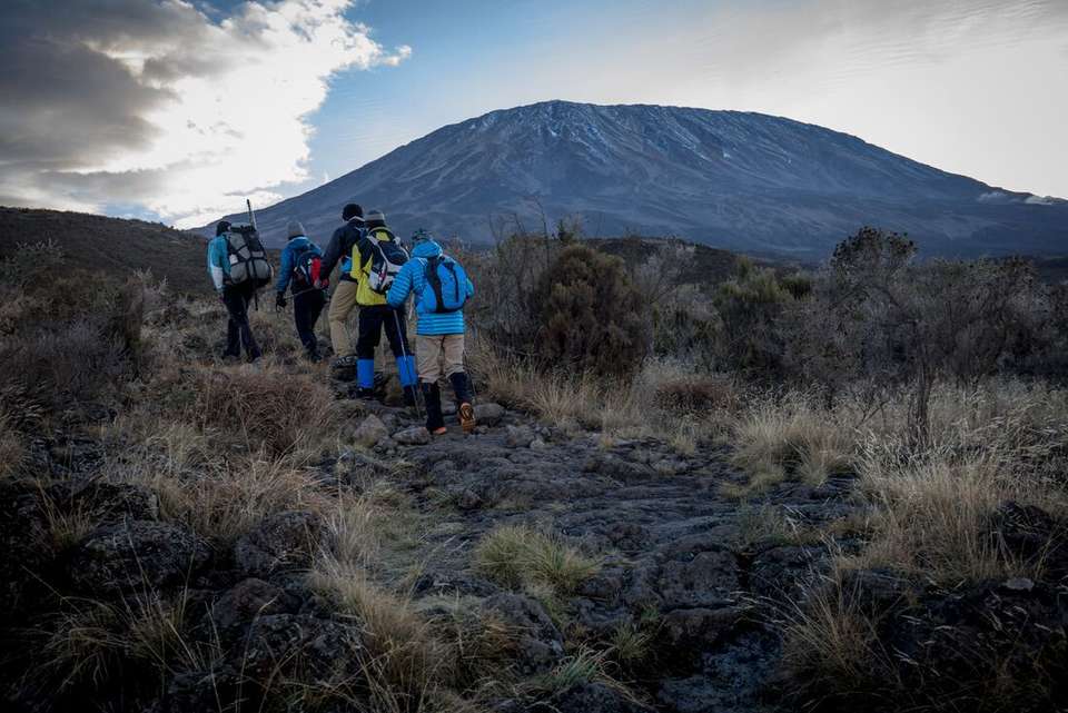 Kilimanjaro: Machame Route - Intrepid Travel - Tanzania - Image 11