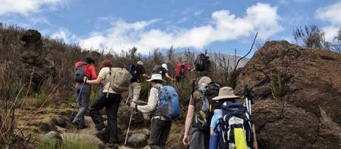 Kilimanjaro - Machame Route