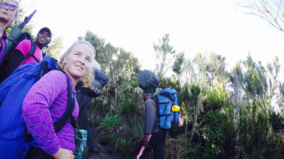 Kilimanjaro - Machame Route - Tanzania Joy Tours And Safaris Ltd - Tanzania - Image 1