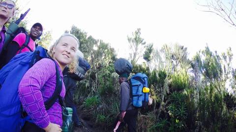 Moshi Climbing Tour: Kilimanjaro - Machame Route