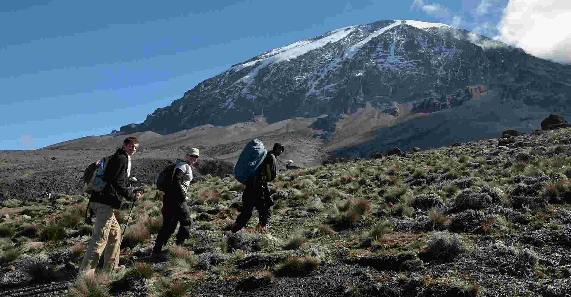 Kilimanjaro - Machame route, 7 day Private