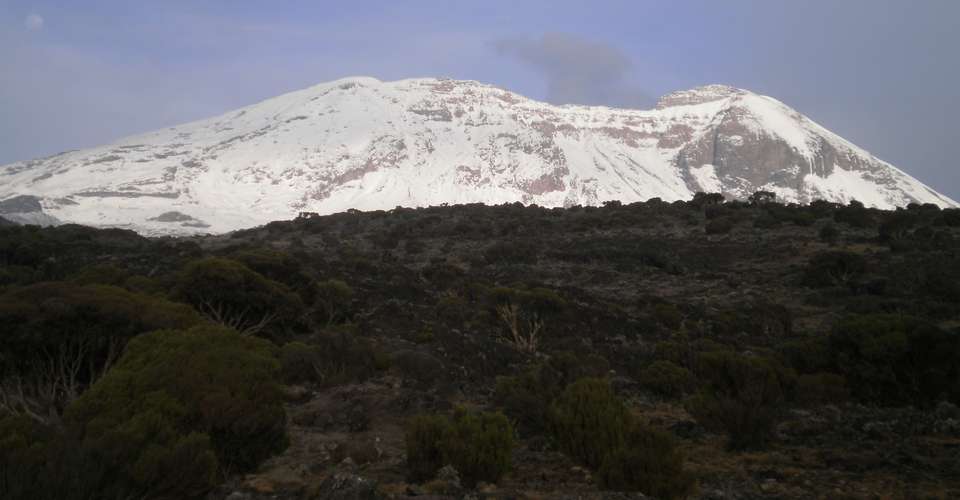 Kilimanjaro - Machame route, 7 day Private - Maasai Wanderings - Tanzania - Image 4
