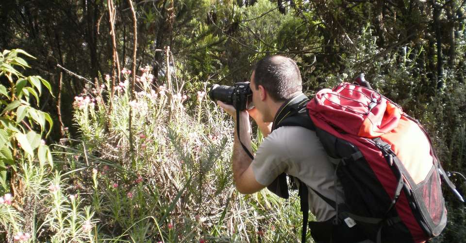 Kilimanjaro - Machame route, 7 day Private - Maasai Wanderings - Tanzania - Image 5