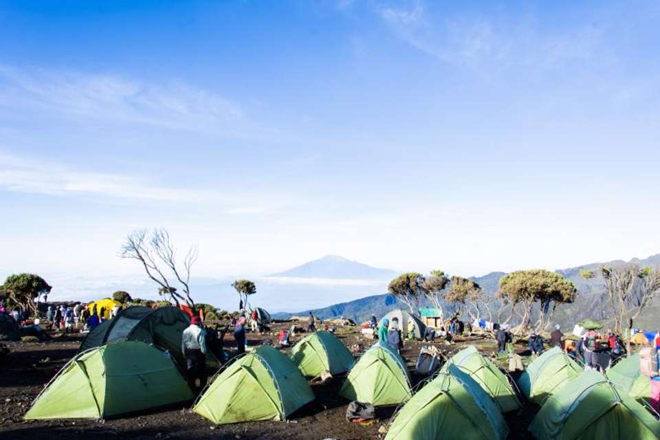 Kilimanjaro Machame Trek - Oasis Overland - Tanzania - Image 3