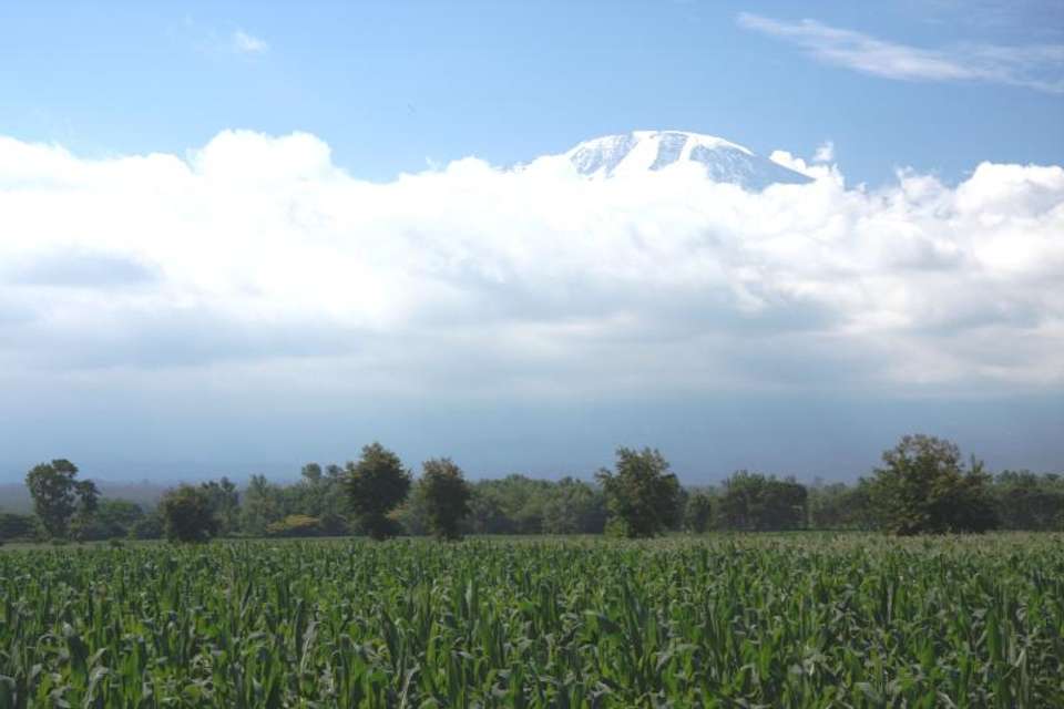 Kilimanjaro Machame Trek - Oasis Overland - Tanzania - Image 5