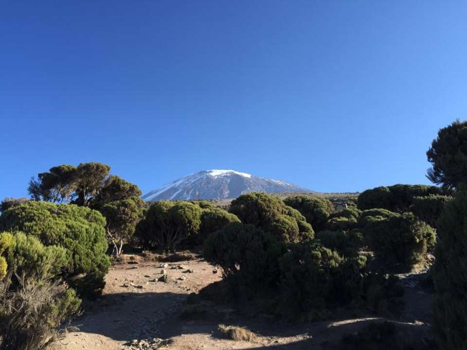 Kilimanjaro Machame Trek - Oasis Overland - Tanzania - Image 6
