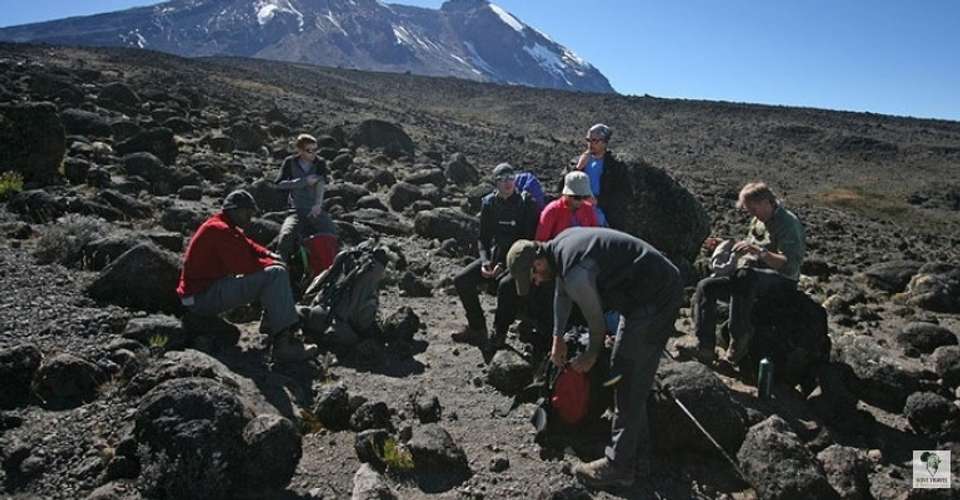 Kilimanjaro - marangu route - Novi Travel & Tours - Tanzania - Image 2