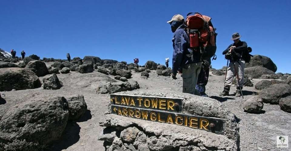 Kilimanjaro - marangu route - Novi Travel & Tours - Tanzania - Image 3