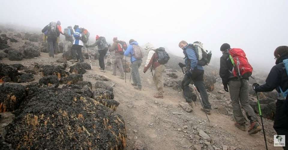 Kilimanjaro - marangu route - Novi Travel & Tours - Tanzania - Image 4