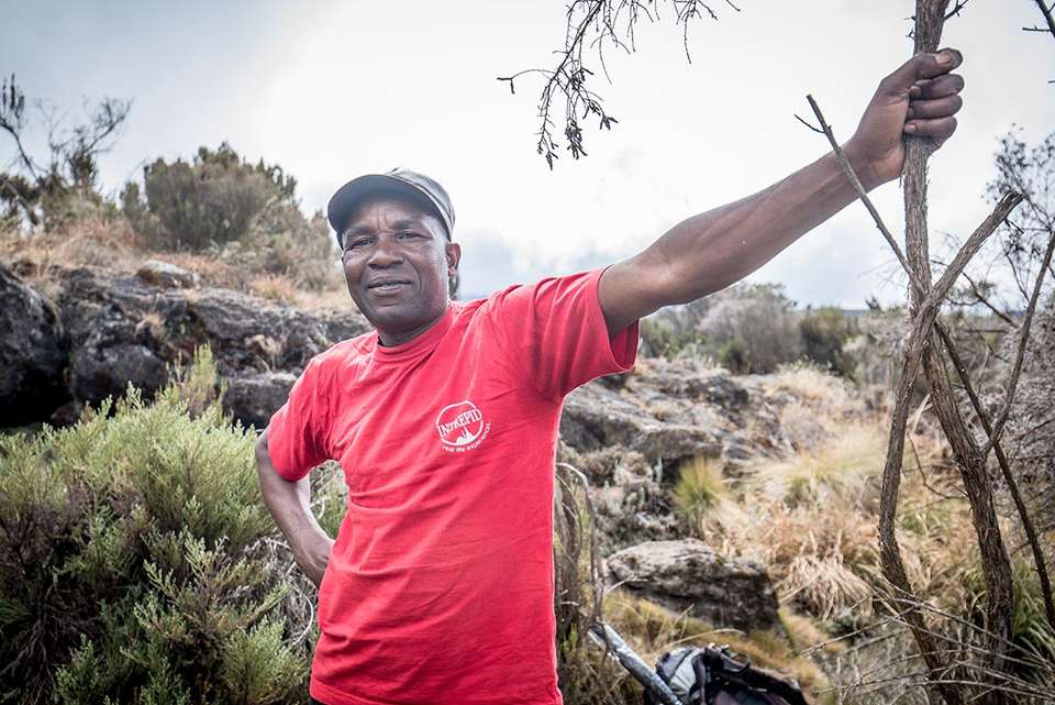 Kilimanjaro: Marangu Route - Intrepid Travel - Tanzania - Image 3