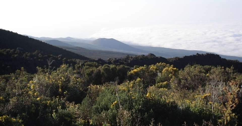Kilimanjaro Northern Circuit 11 Days - Zara Tours - Tanzania