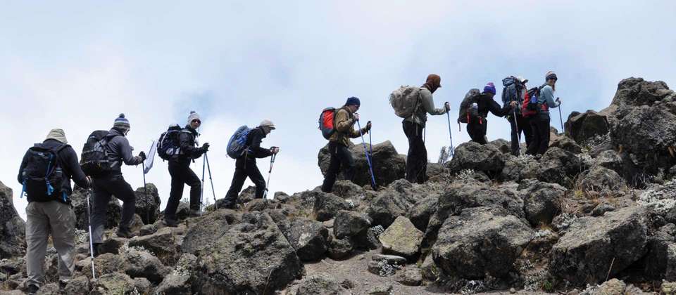 Kilimanjaro - Remote Northern Circuit - World Expeditions - Tanzania - Image 1