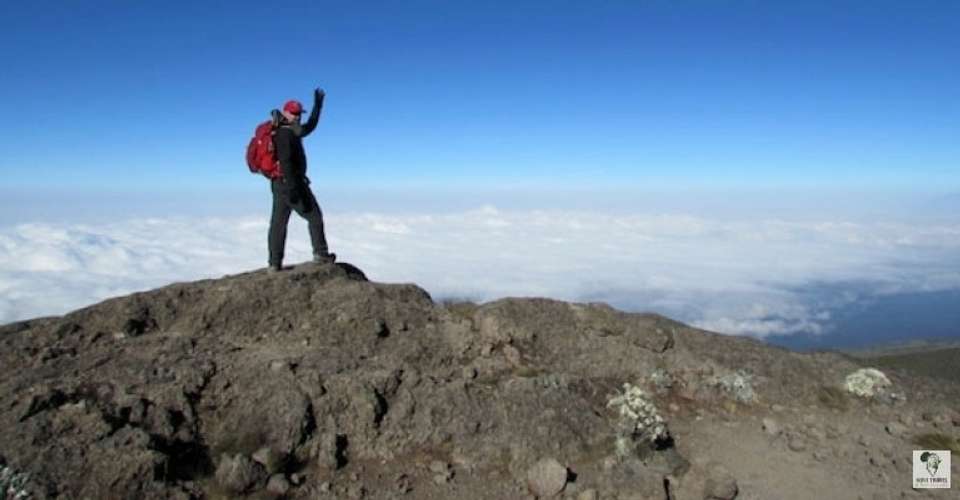 Kilimanjaro - rongai route - Novi Travel & Tours - Tanzania - Image 3