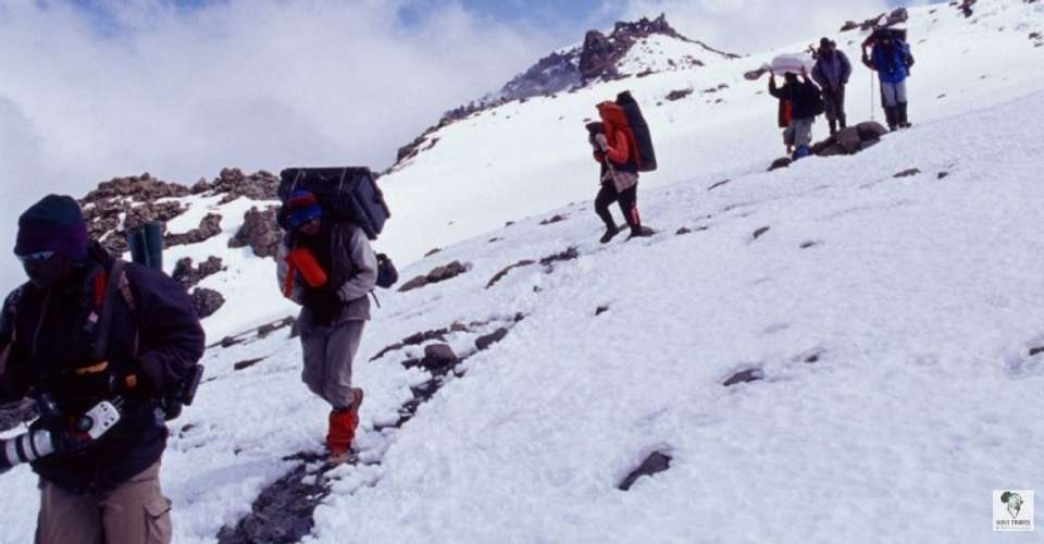 Kilimanjaro - rongai route - Novi Travel & Tours - Tanzania - Image 4