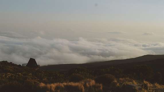 Image 4 of 5