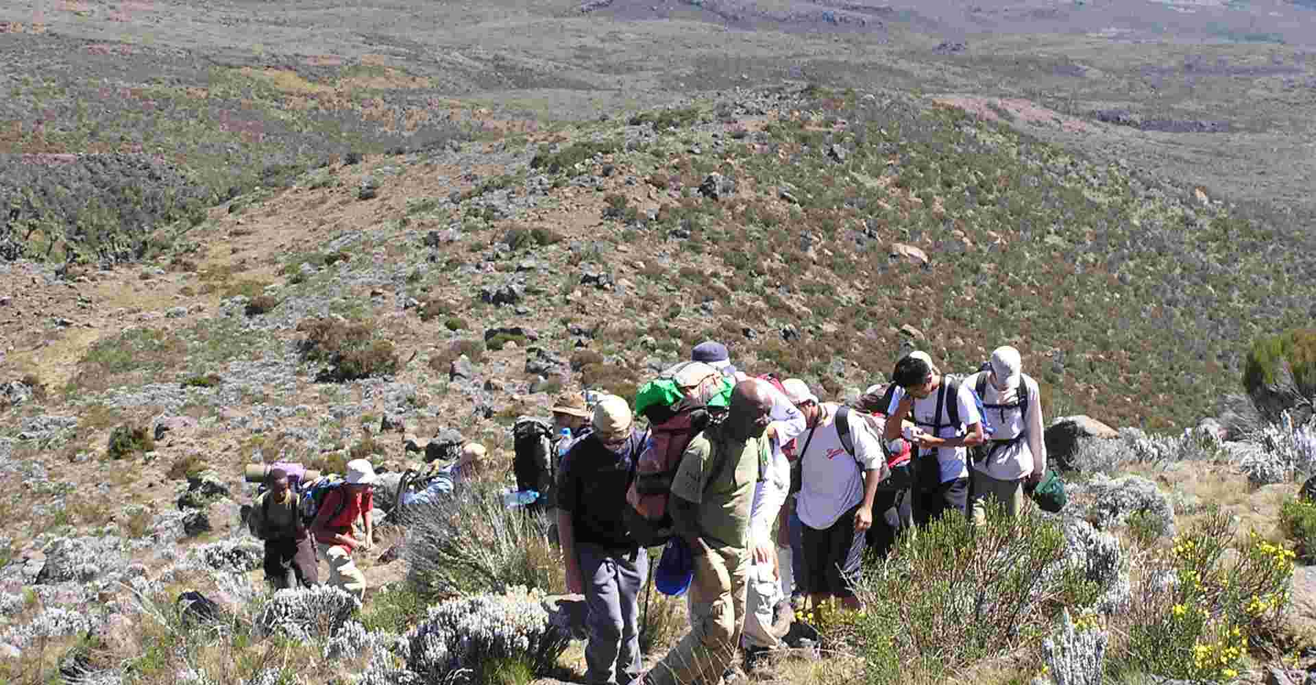 Kilimanjaro - Rongai route, 7 days