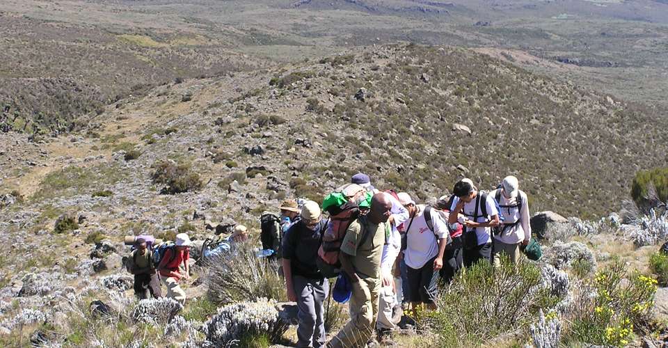Kilimanjaro - Rongai route, 7 days - Maasai Wanderings - Tanzania - Image 1