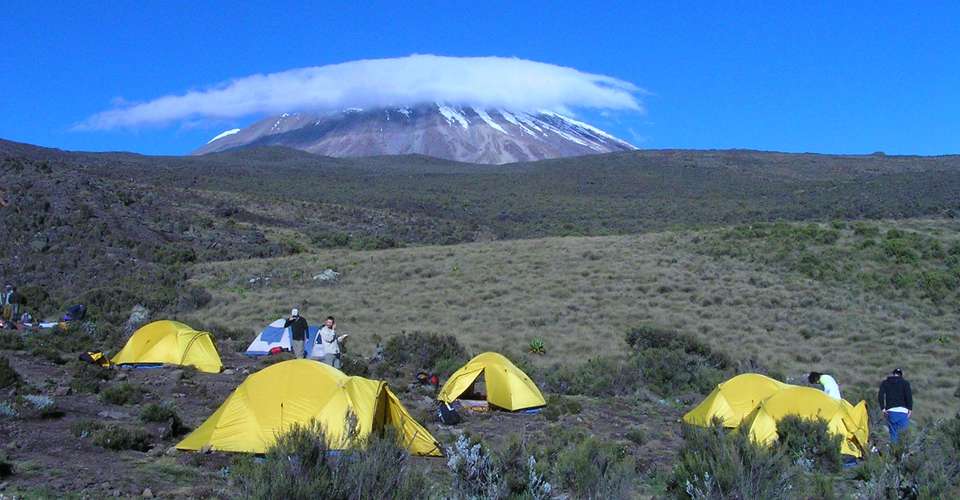 Kilimanjaro - Rongai route, 7 days - Maasai Wanderings - Tanzania - Image 4
