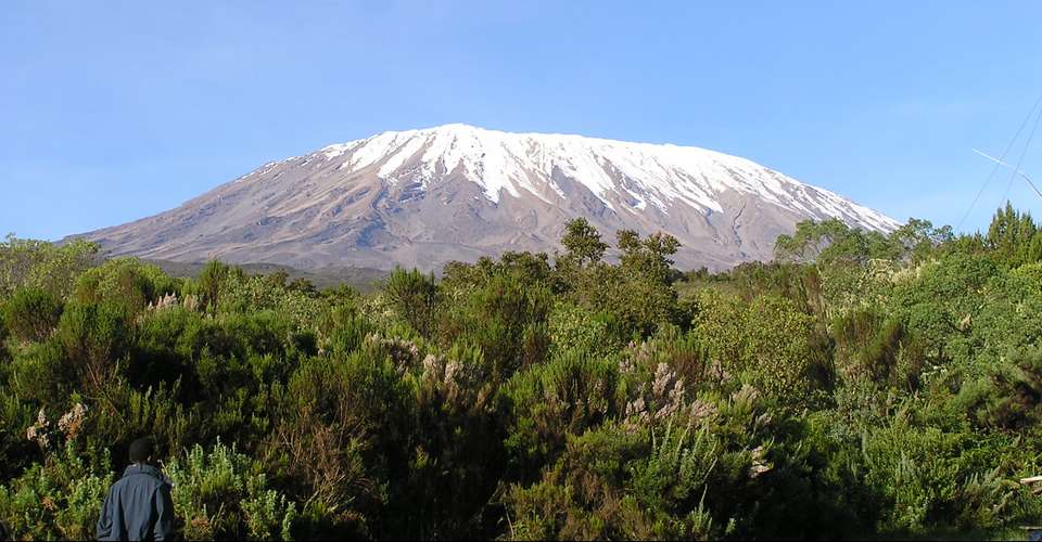 Kilimanjaro - Rongai route, 7 days - Maasai Wanderings - Tanzania - Image 5