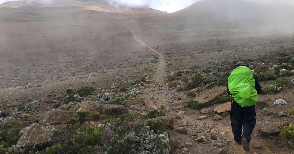 Kilimanjaro - Rongai Trek - Explore - Tanzania - Image 6