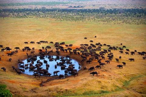 Kilimanjaro To Mombasa - Winter Tours