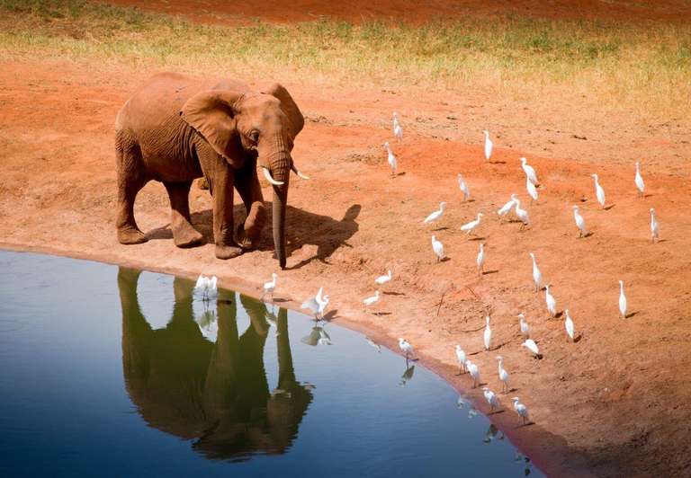 Kilimanjaro To Mombasa, Private Tour