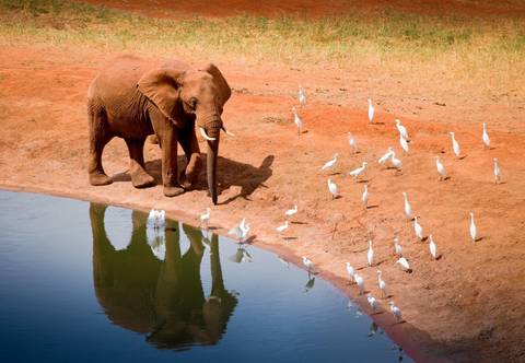 Getaways And Short Breaks Tour: Kilimanjaro To Mombasa, Private Tour