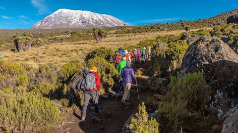 Kilimanjaro Trek - Marangu Route - July 2026
