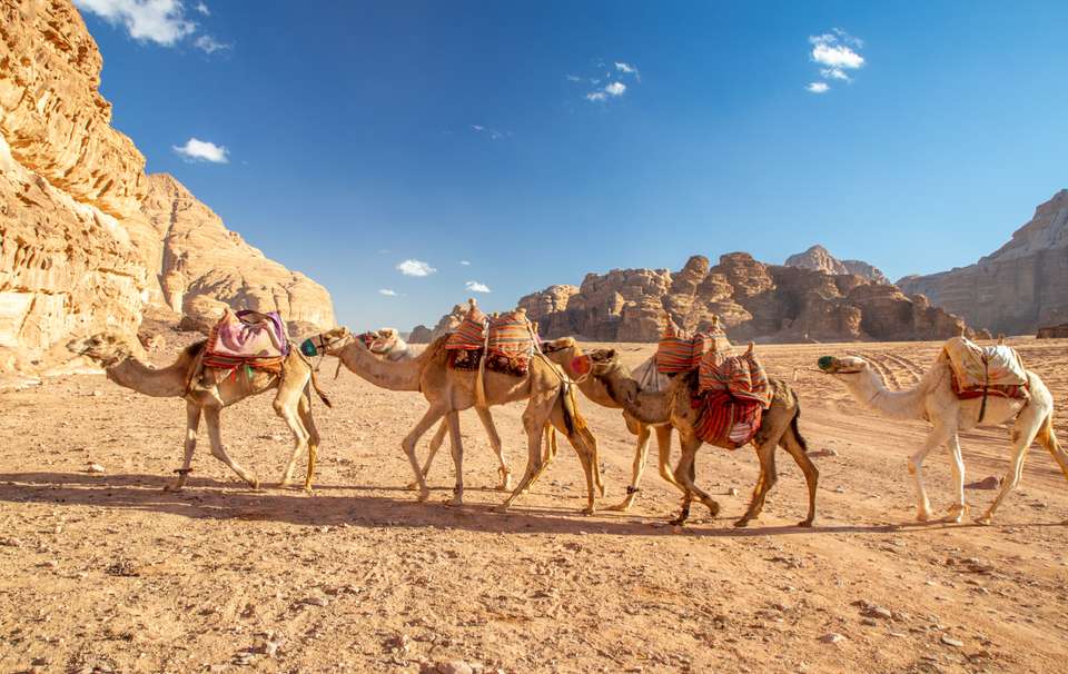 Kingdoms of Jordan - Premium Adventure - Exodus Adventure Travels - Jordan - Image 21