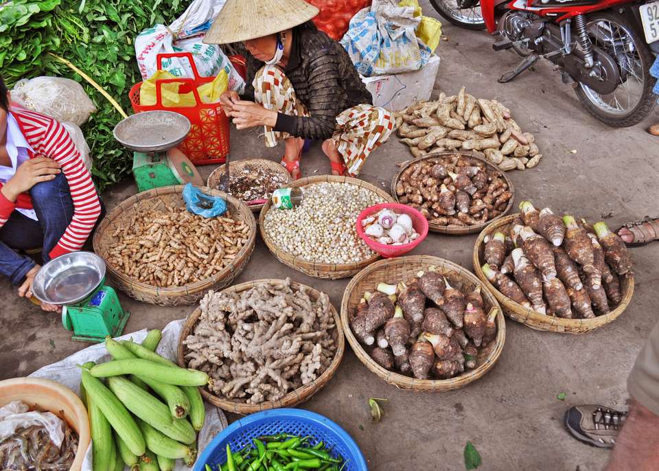 Kingdoms of Southeast Asia Vietnam, Cambodia, Laos and Thailand - Collette Tours - Vietnam - Image 5