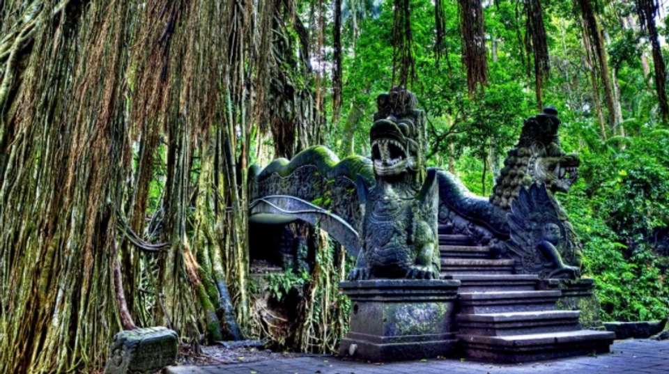 Kintamani Explorer - Full Day Private Tour - The Seven Holiday - Indonesia - Image 4