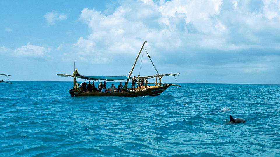 Kizimkazi Dolphin Tour - Zanzibar Tours & Travel - Tanzania - Image 3