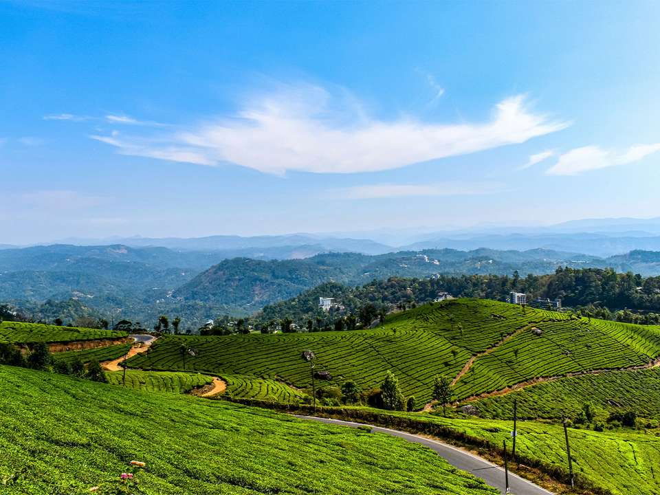 Kochi & Kerala Loop - 8 days - On The Go Tours - India - Image 2