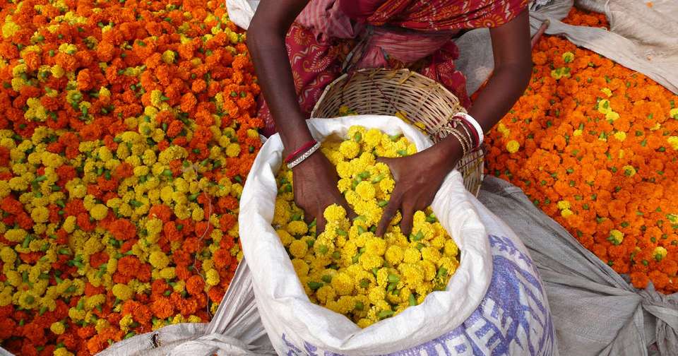 Kolkata to Amritsar - Explore - India