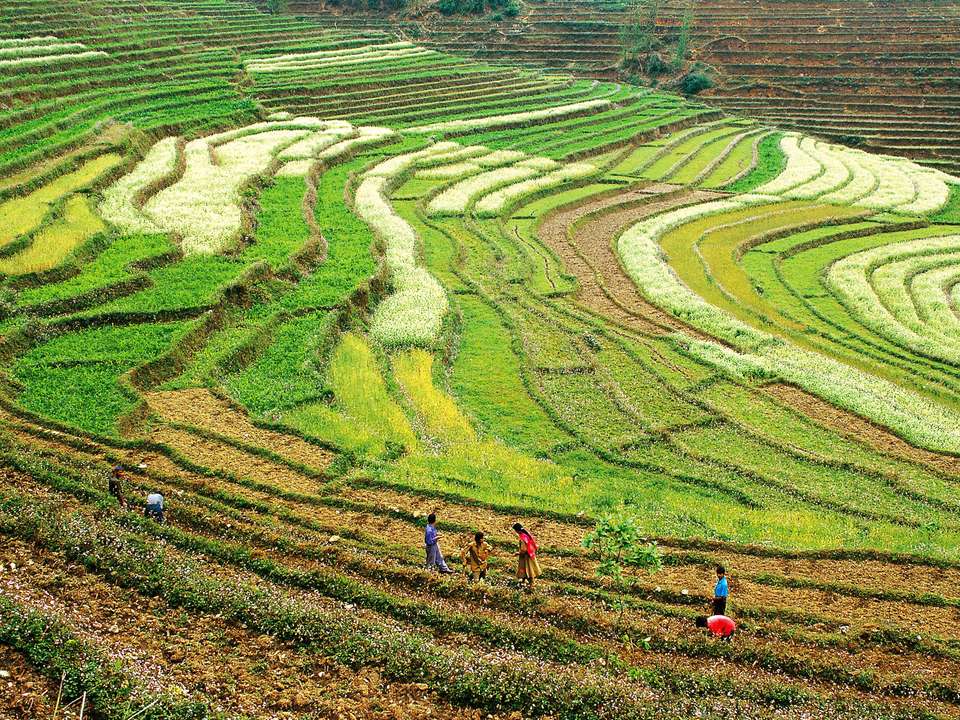 Kolkata to Darjeeling - 11 days - On The Go Tours - India - Image 2