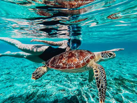 Indonesia Guided And Escorted Tours: Komodo Island Hopper