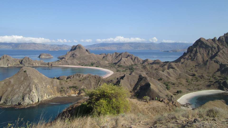 Komodo Wildlife Sea and Safari Tour - Adventure Indonesia - Indonesia - Image 2